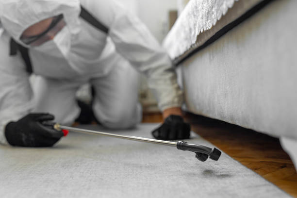 Professional Termite Control technician working in Kountze, TX